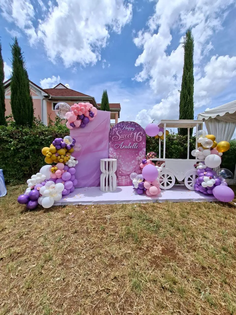 Balloon Backdrops